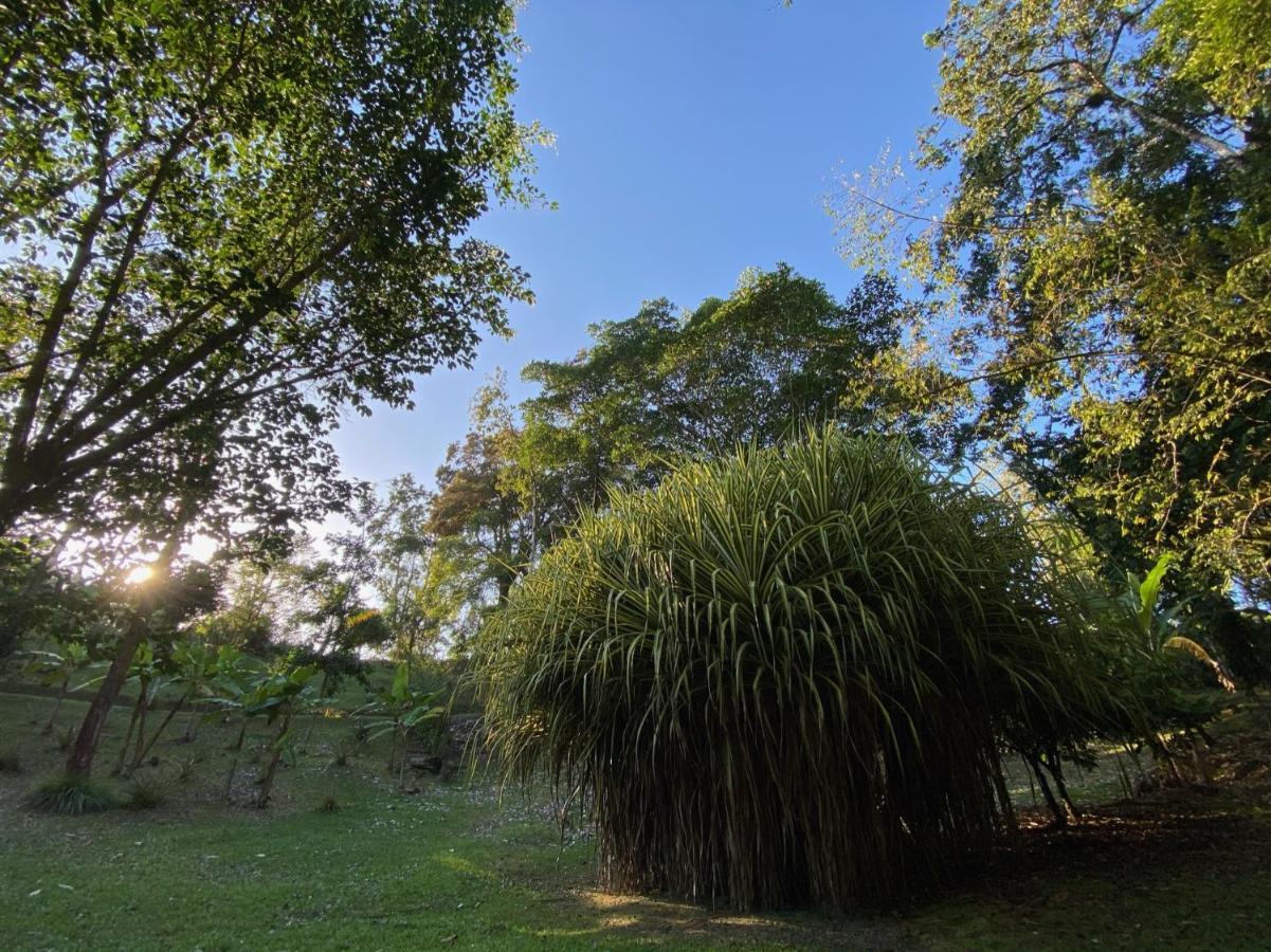 Finca Vela Lodge 博卡斯德尔托罗 外观 照片