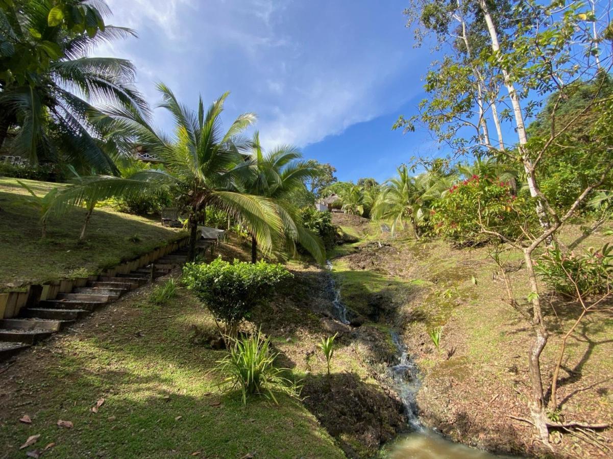 Finca Vela Lodge 博卡斯德尔托罗 外观 照片