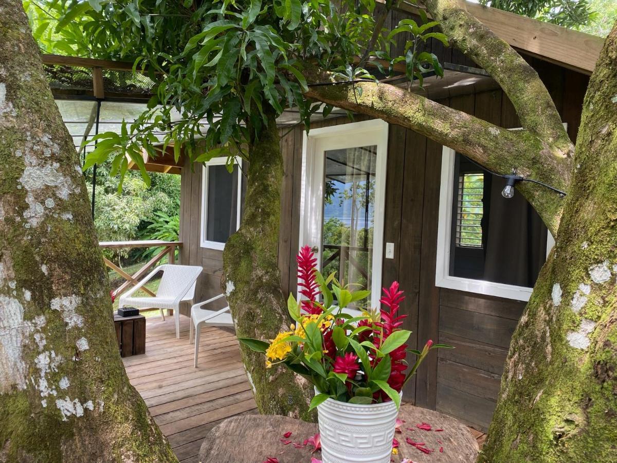 Finca Vela Lodge 博卡斯德尔托罗 外观 照片