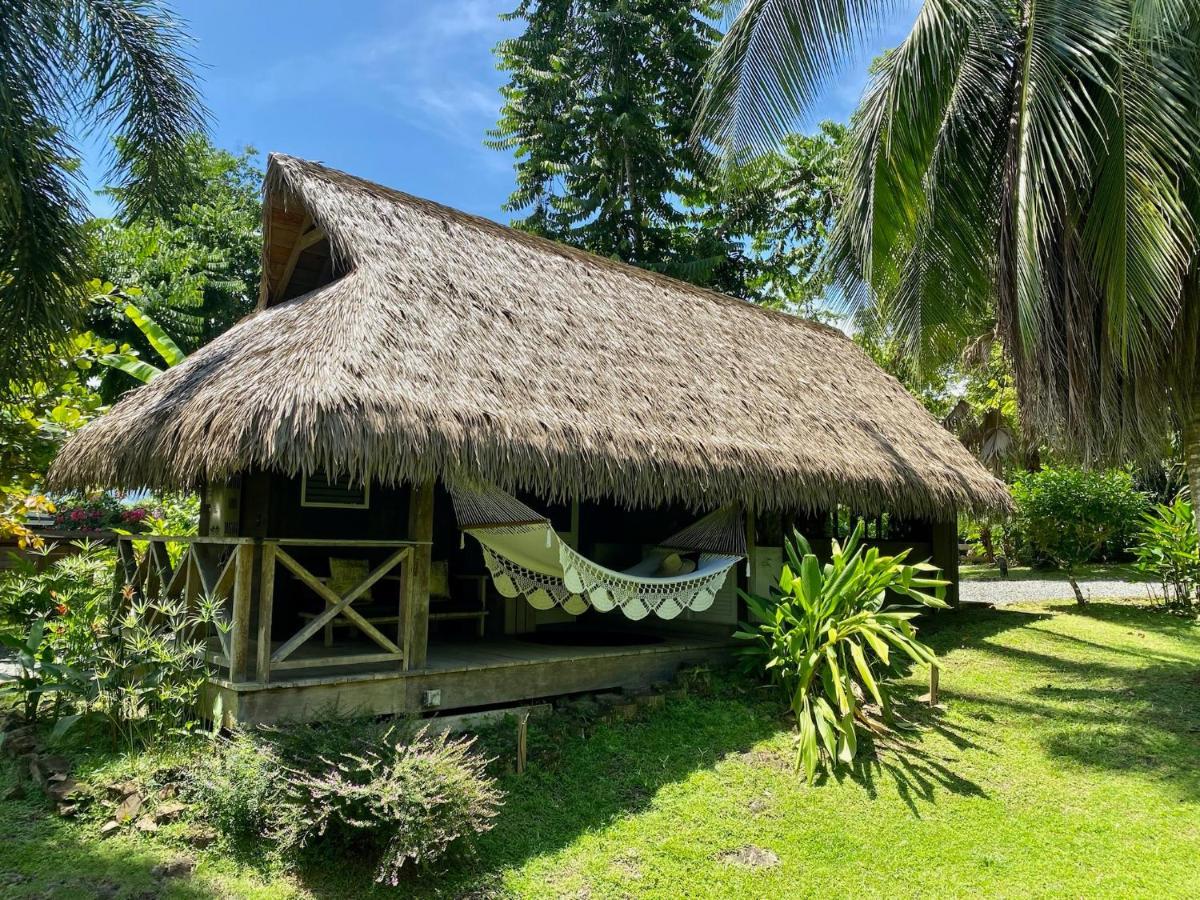 Finca Vela Lodge 博卡斯德尔托罗 外观 照片
