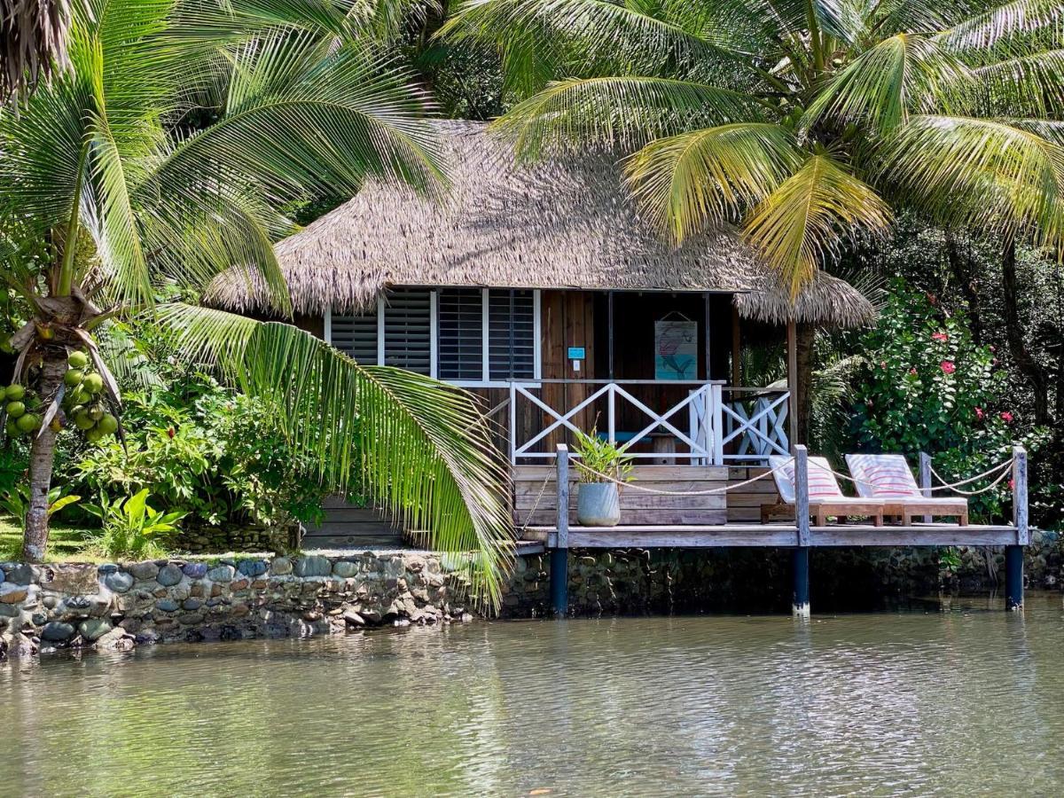 Finca Vela Lodge 博卡斯德尔托罗 外观 照片