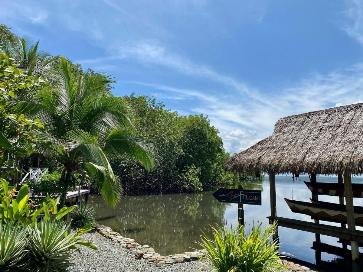 Finca Vela Lodge 博卡斯德尔托罗 外观 照片