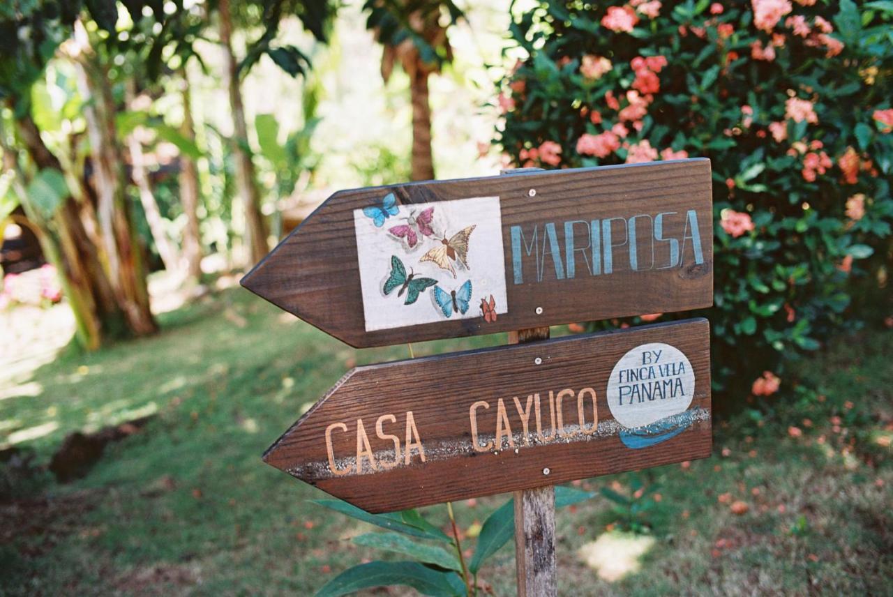 Finca Vela Lodge 博卡斯德尔托罗 外观 照片