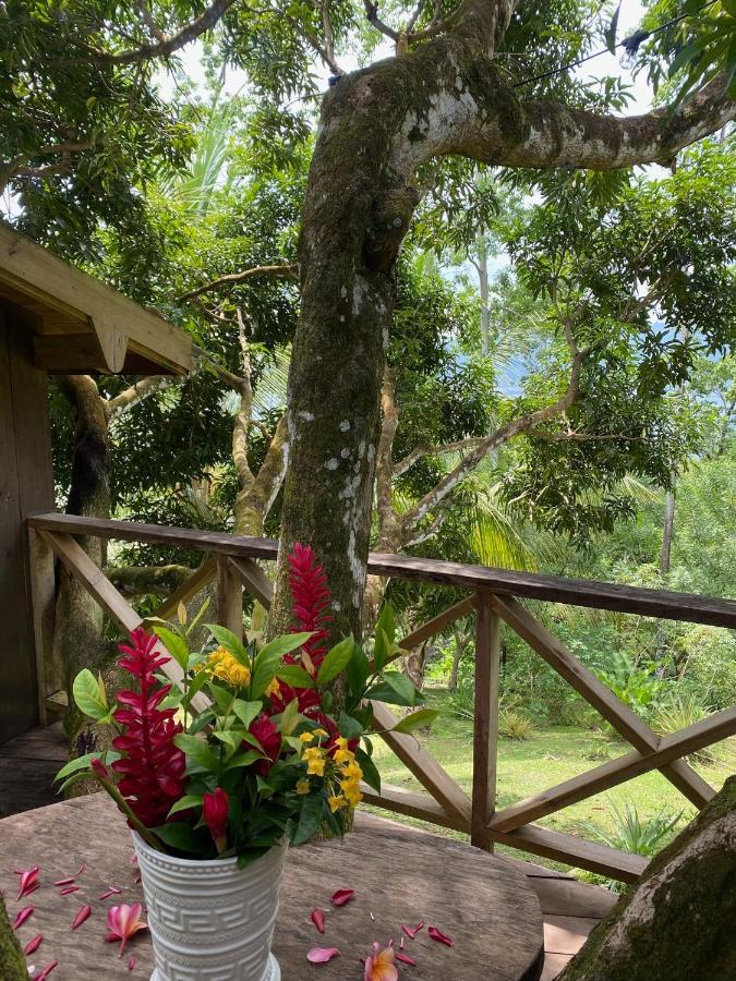 Finca Vela Lodge 博卡斯德尔托罗 外观 照片