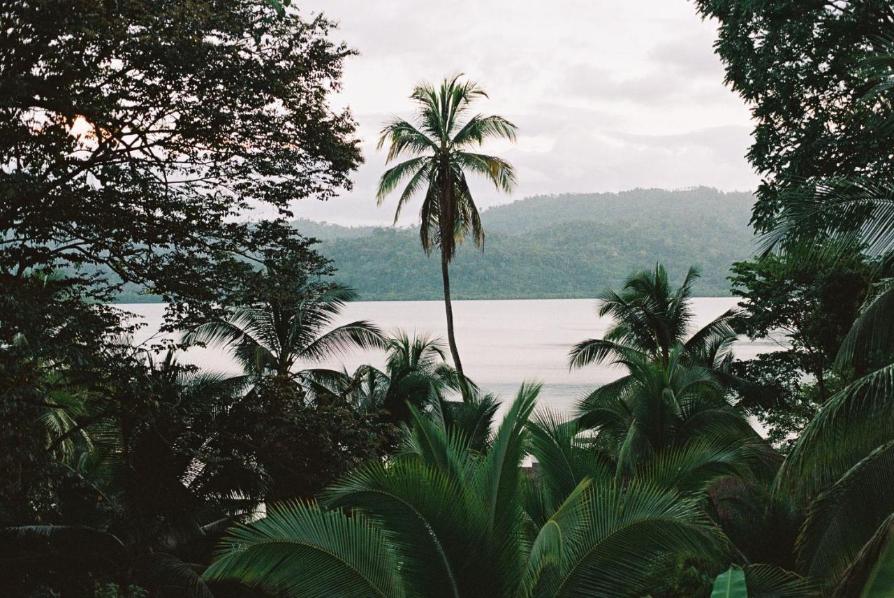 Finca Vela Lodge 博卡斯德尔托罗 外观 照片