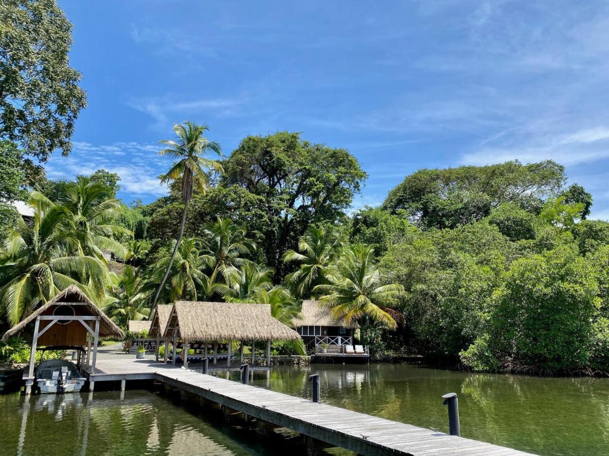 Finca Vela Lodge 博卡斯德尔托罗 外观 照片