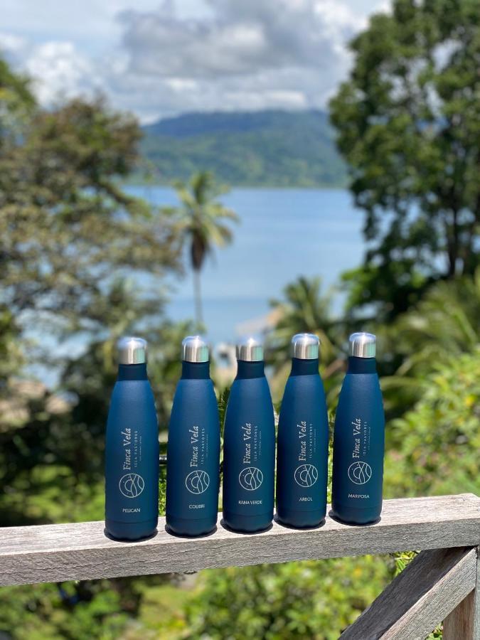 Finca Vela Lodge 博卡斯德尔托罗 外观 照片