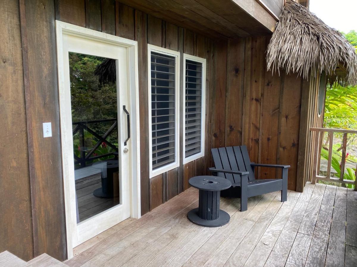Finca Vela Lodge 博卡斯德尔托罗 外观 照片